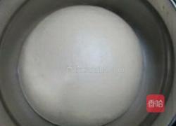 外焦里嫩甜甜圈的做法图解2