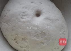 西葫芦猪肉包的做法图解7