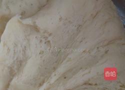 猪肉洋葱包子的做法图解4