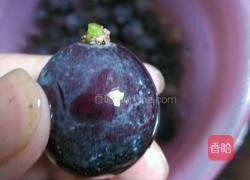 葡萄酒的做法图解3