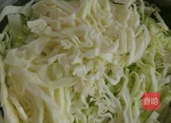 西红柿炒圆白菜的做法图解2