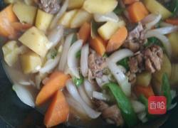 鸡腿炖土豆的做法图解8