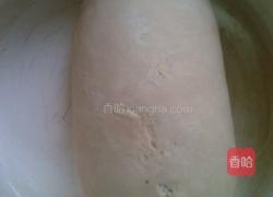 奥尔良卷饼的做法图解1