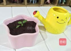 自制手工酸奶的做法图解8