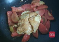 番茄炒蛋的做法图解6