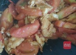 番茄炒蛋的做法图解7