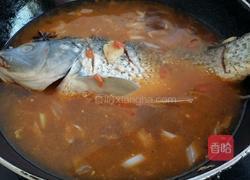 红炖鲤鱼的做法图解6