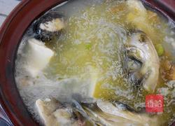 花鲢豆腐汤的做法图解4
