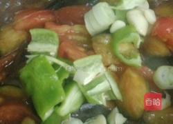 酱香双茄烩的做法图解9