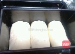 红豆蜂蜜土司的做法图解5