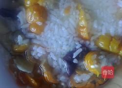苦子果酸木瓜汤饭的做法图解4