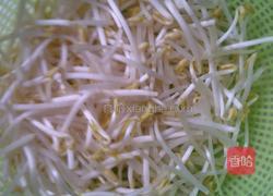 豆芽散子的做法图解1
