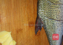 蒸鱼的做法图解1