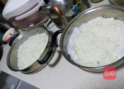 自制甜酒酿的做法图解3