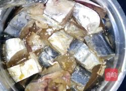 豆瓣酱焖鱼的做法图解2