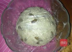 全麦葡萄干大面包的做法图解2