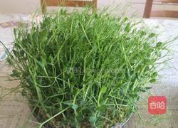 豌豆苗拌干豆腐丝的做法图解4