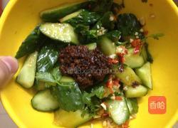 脆爽凉拌青瓜的做法图解3
