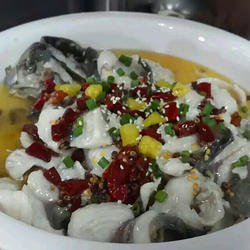 酸菜鱼的做法[图]