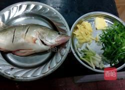 清蒸桂花鱼的做法图解1