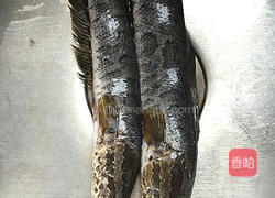 黑鱼汤的做法图解2