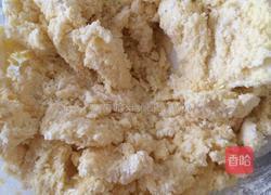 蔓越莓椰蓉球的做法图解5