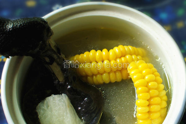 淮山玉米乌鸡汤