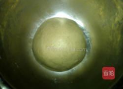 中种麦片全麦面包的做法图解9