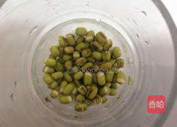 绿豆芽苗菜的做法图解1