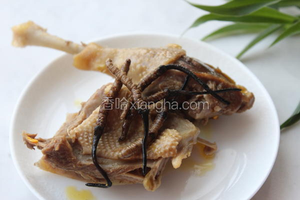 虫草老鸭煲