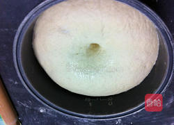 鲜肉包子全过程的做法图解9