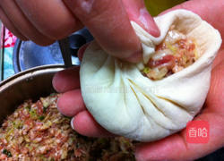 鲜肉包子全过程的做法图解13