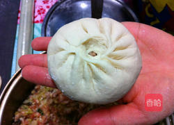 鲜肉包子全过程的做法图解14