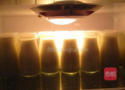 烤箱制作酸奶的做法图解7