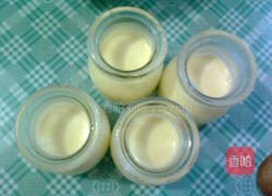 奶酪布丁的做法图解9