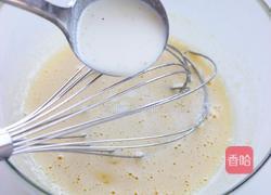 香草冰淇淋的做法图解4