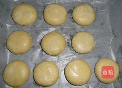 鲜肉榨菜月饼的做法图解18