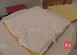 奶油肉松蛋糕的做法图解10