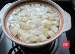 雪梨川贝冰糖水的做法图解3