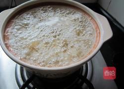 雪梨川贝冰糖水的做法图解4