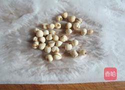 雪梨川贝冰糖水的做法图解5