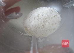 雪梨川贝冰糖水的做法图解6