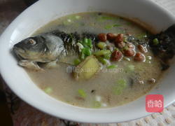 花生炖鲫鱼的做法图解9