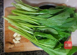 蚝油菜心的做法图解2
