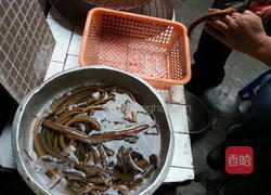 盘龙黄鳝的做法图解1