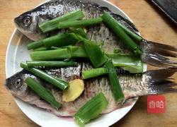 葱酥鲫鱼的做法图解5