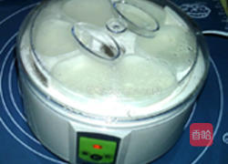 黄桃酸奶水果沙拉的做法图解6