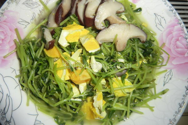 咸蛋豆苗