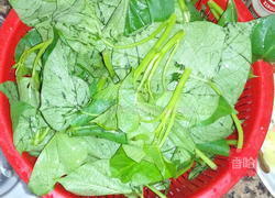 上汤番薯叶的做法图解1