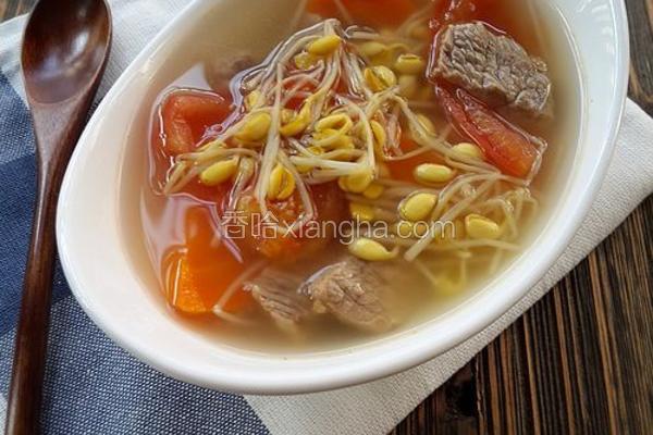 豆芽牛肉汤